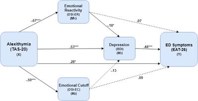 Mentalizing Self and Other and Affect Regulation Patterns in Anorexia and Depression